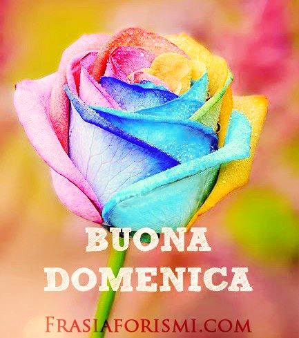 Buona Domenica Aforismi Buona Domenica Bellissimi