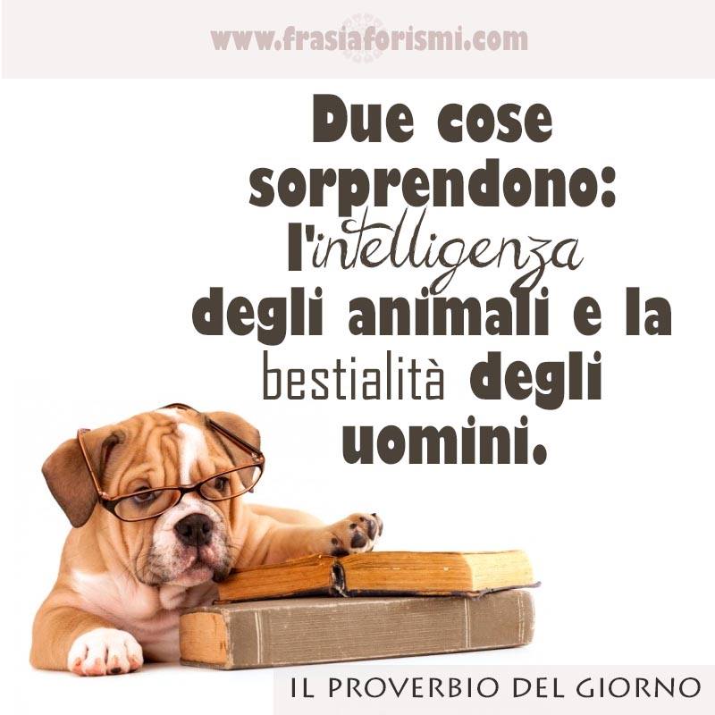 Frasi Sugli Animali