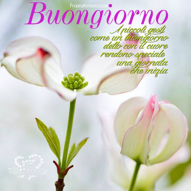 Frase Di Buongiorno Con Immagine Per Facebook